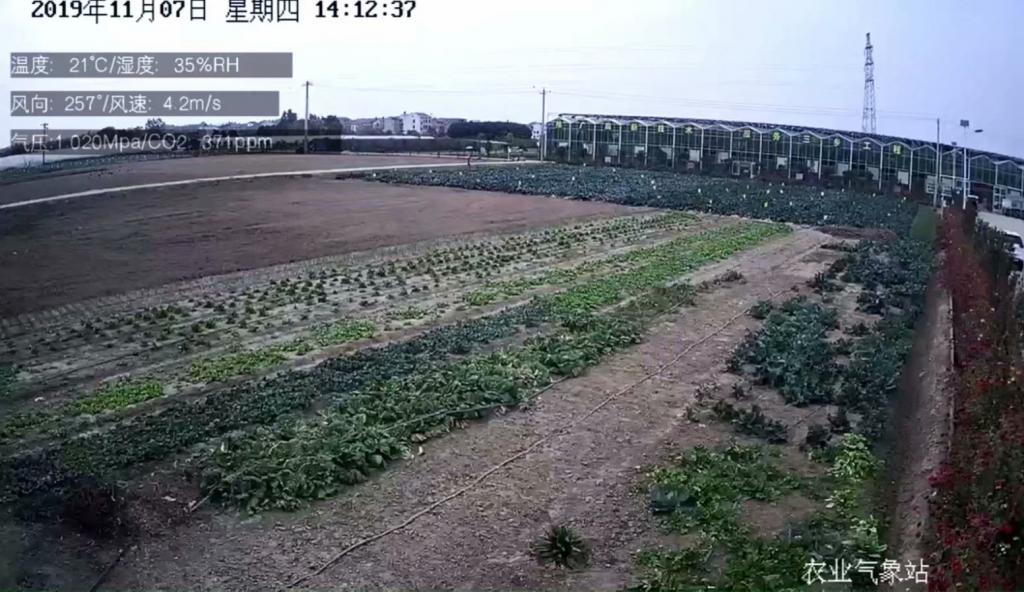 農業溯源直播